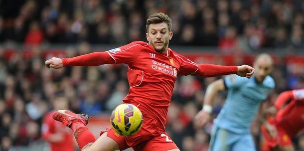 仅提高了团 仅提高了团